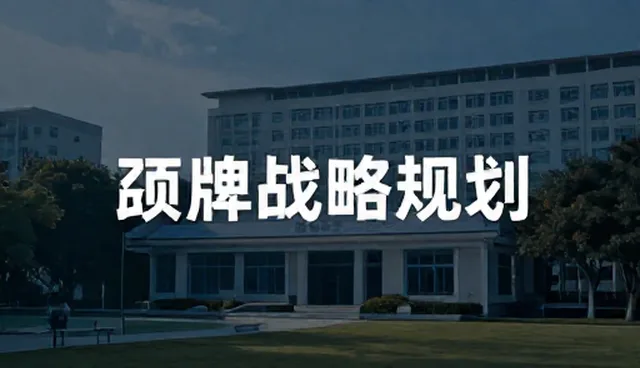 财务健康诊断在品牌战略中的实际应用分析